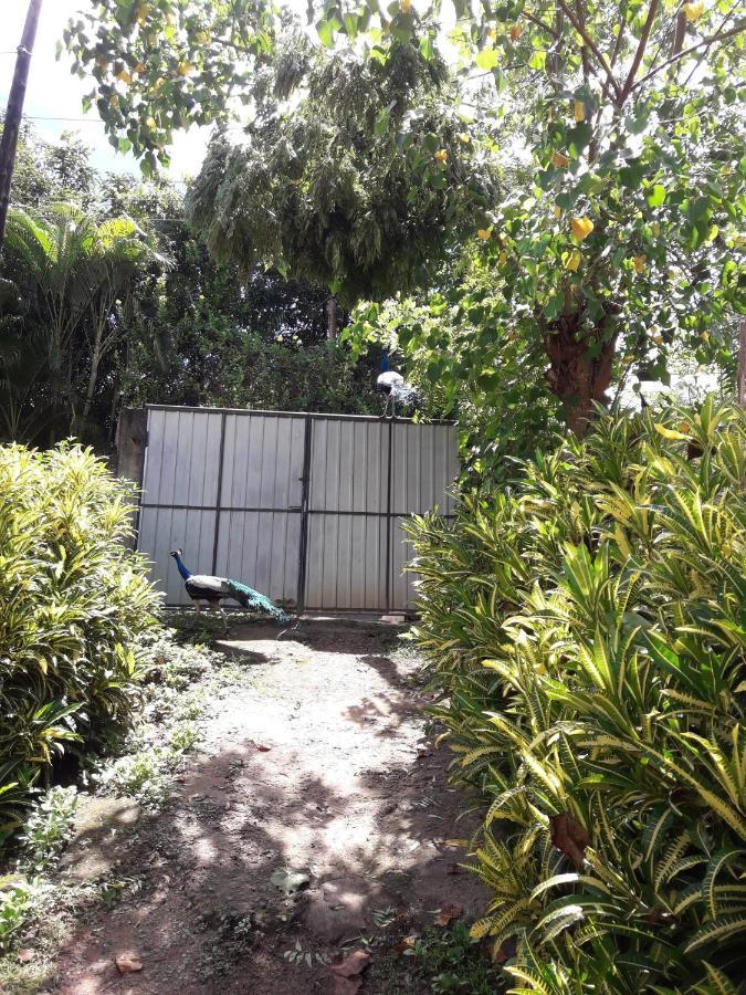 Villa Pipe Dream Tangalle Exterior photo