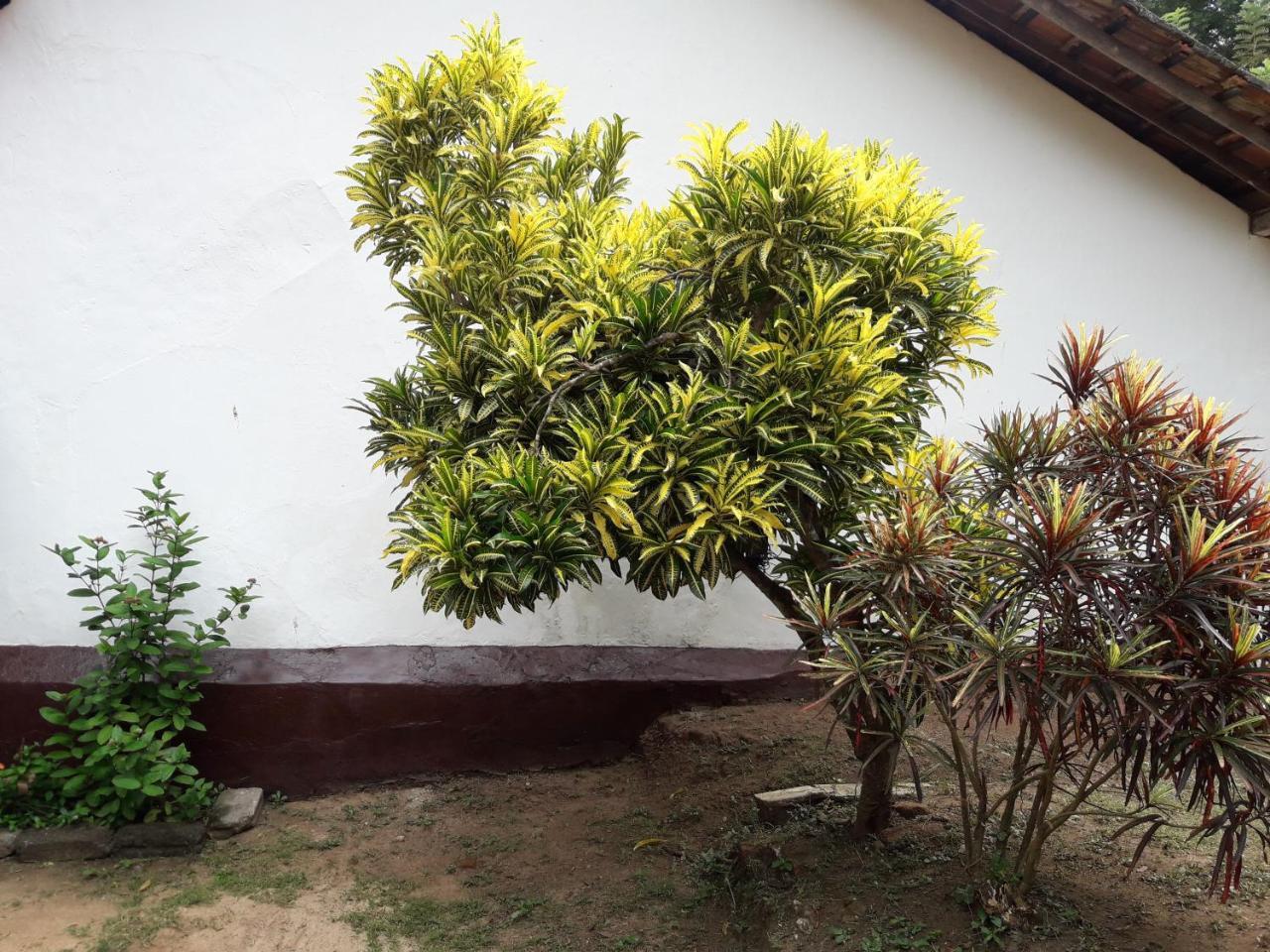 Villa Pipe Dream Tangalle Exterior photo
